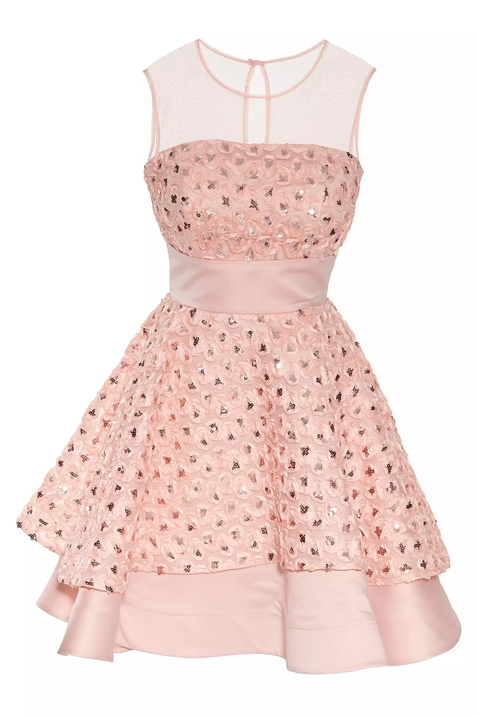 Puppy Lace Sleeveless Mini Dress