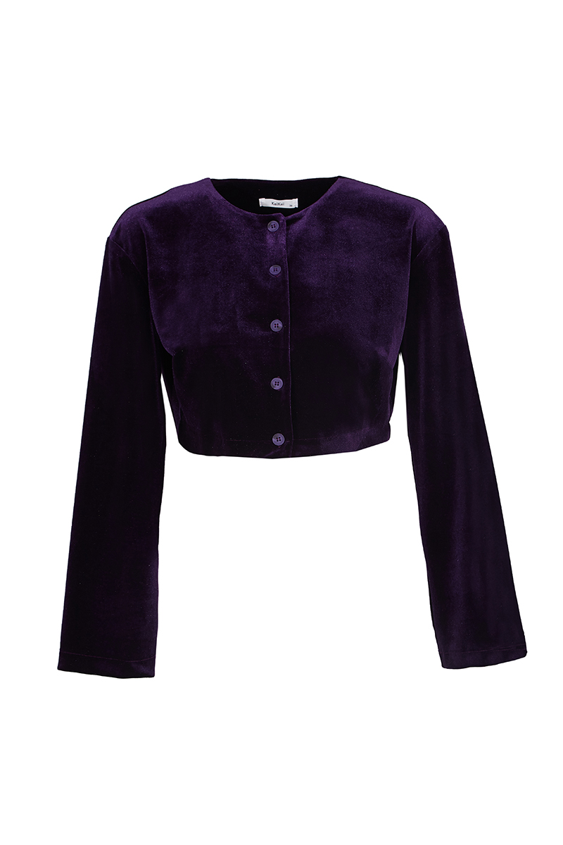 Purple Velvet Long Sleeve Shirt